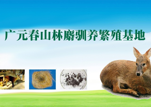 手机站首页banner1 手机站首页banner1