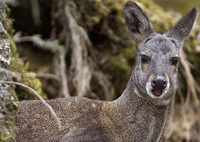 手机站首页banner2 手机站首页banner2