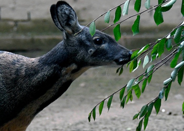 手机站首页banner3 手机站首页banner3